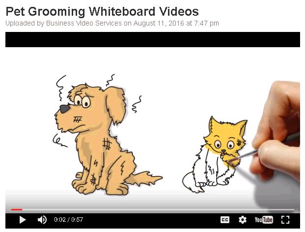Whiteboard Promo Video