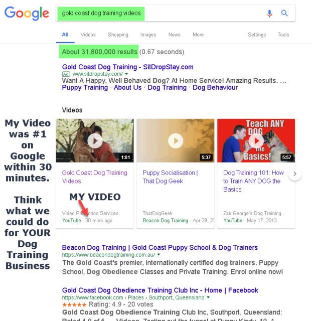 gold coast dog training videos