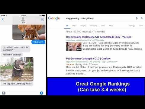 Dog Grooming Coolangatta Gold Coast Qld Sample Text Video